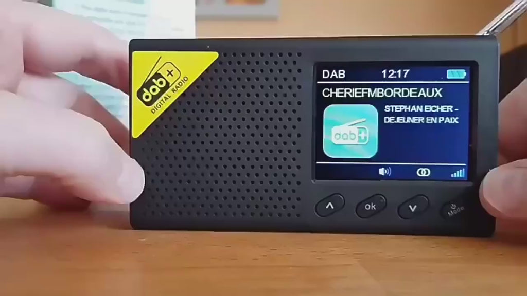 Portable Digital DAB+ FM Radio LCD Color Screen Digital Alarm Clock